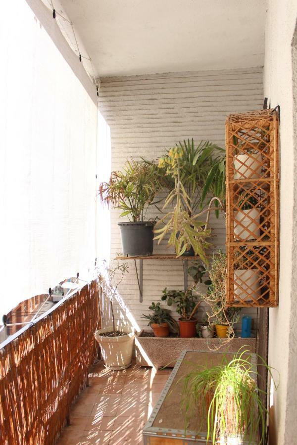 זמורה Apartamento Mercado-Centro מראה חיצוני תמונה